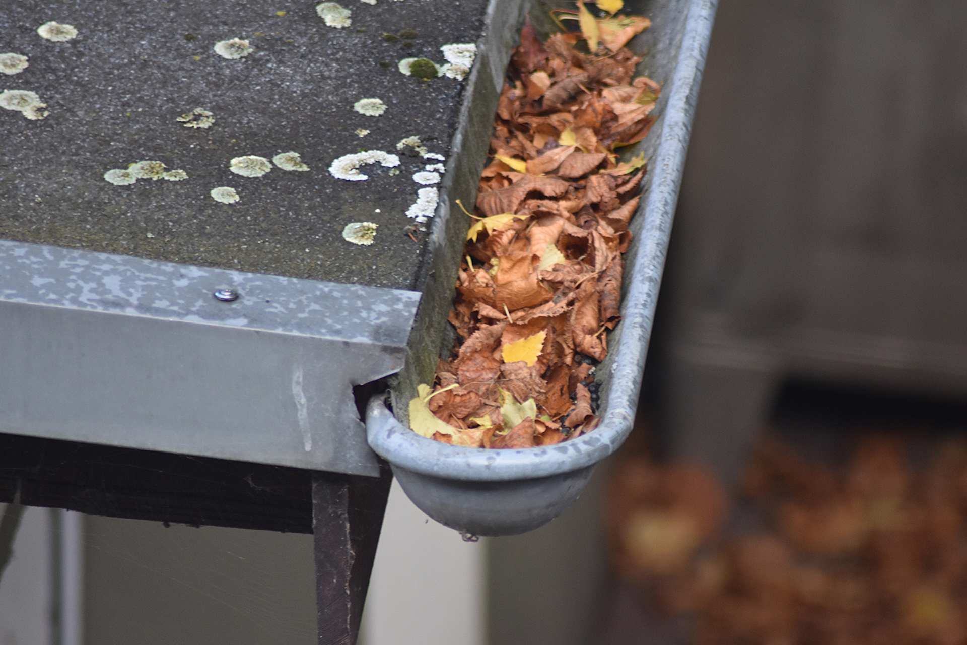 maintaining-a-healthy-home-the-crucial-trio-of-ventilation-heat-and-gutter-clearance