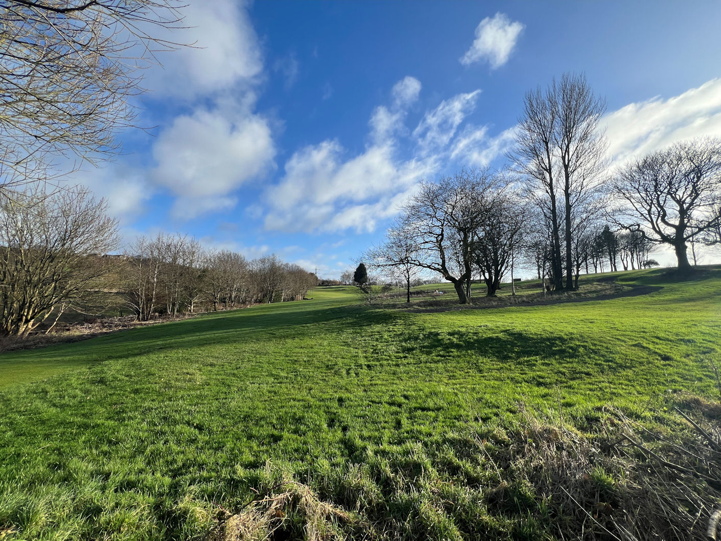 Bramhall Avenue, Harwood Cardwells Estate Agents