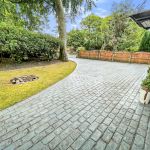 20220705 125611000 iOS 6.jpg