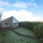 581f1271 20250130 091610036 iOS.jpg