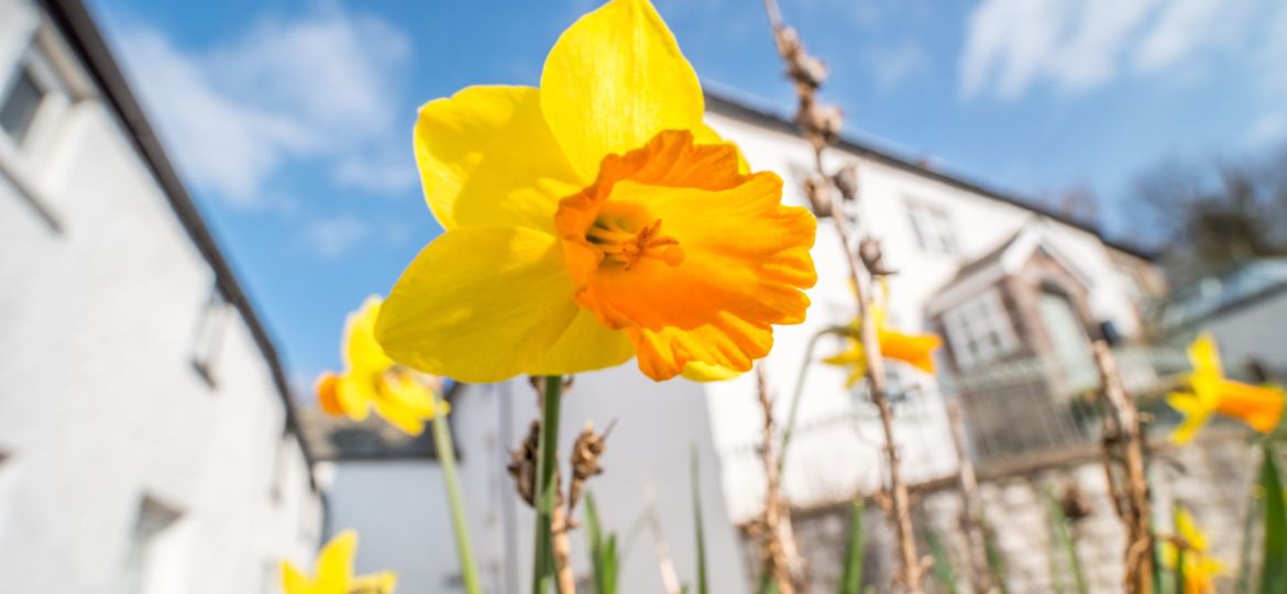Get Your Home Market Ready for Spring February To Do List for Sellers