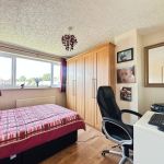 3b1ccd5a 20250619 142602240 iOS.jpg