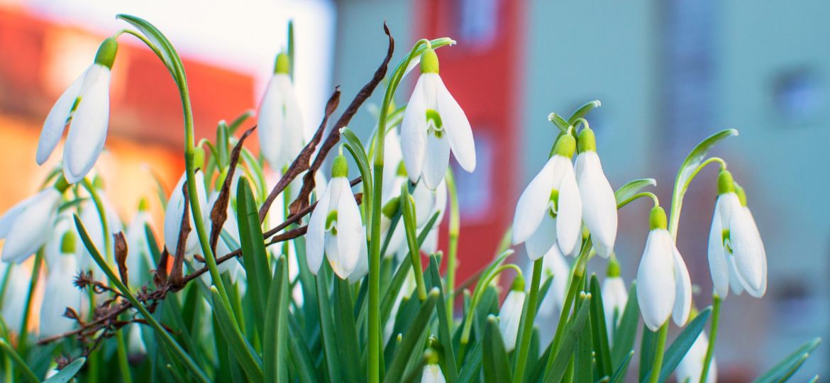 Latest UK Property Market Update for February 2025