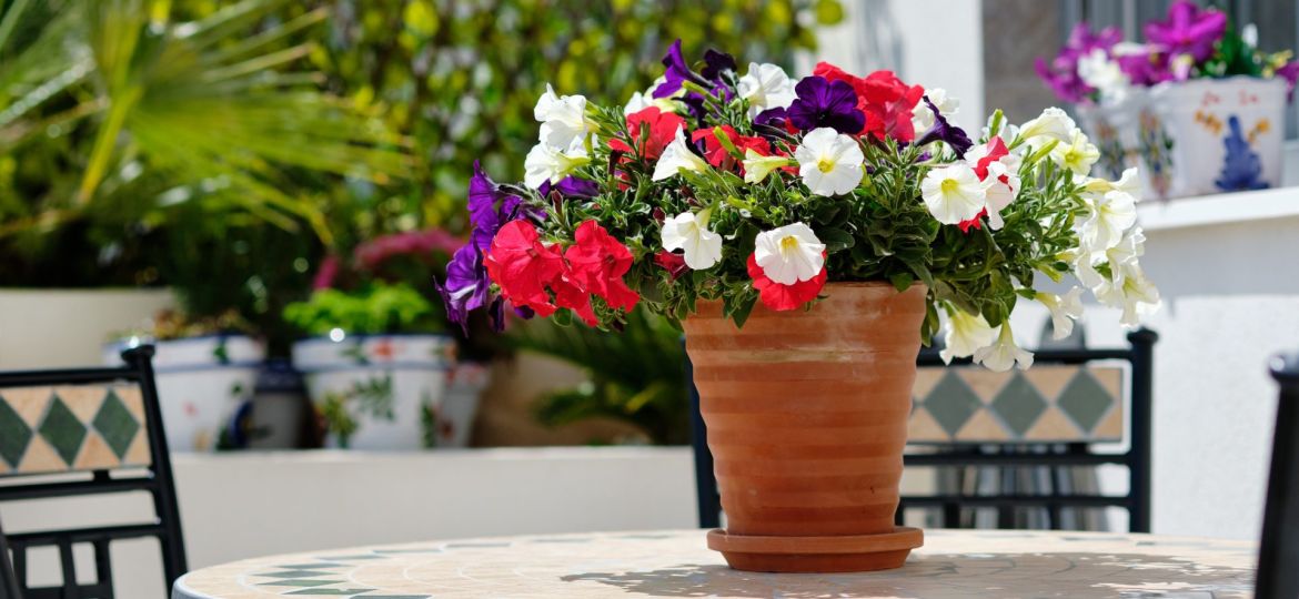 How Outdoor Living Spaces Can Increase Your Rental Income