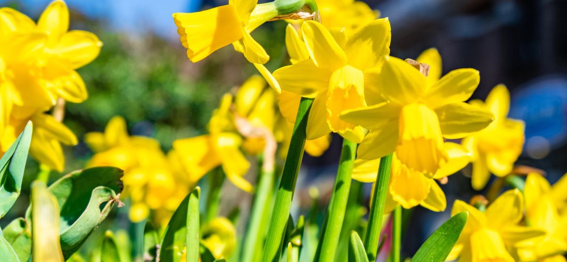 UK Property Market Update March 2025