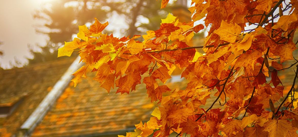 september UK property market update