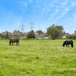 29b92954 Rear 20view.jpg