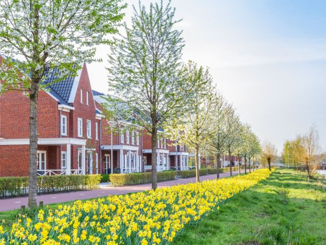 Home Sellers February To Do List