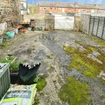 2953b0ab 20260320 123718770 iOS.jpg