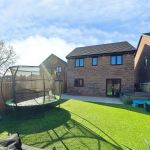 925374fa 20260303 131333944 iOS.jpg