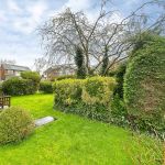 c996365a 20260226 140320303 iOS.jpg