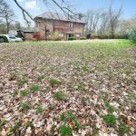 fd90d5d8 20260307 135214979 iOS.jpg