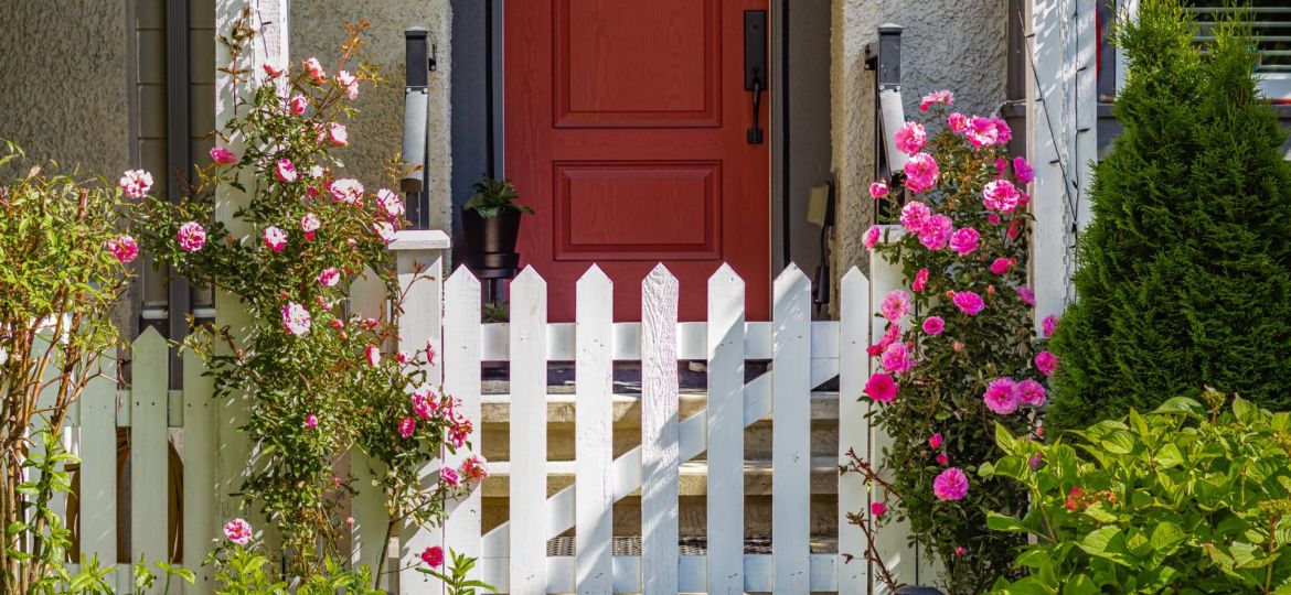 5 Plants For Spring Kerb Appeal