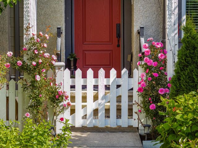 5 Plants For Spring Kerb Appeal