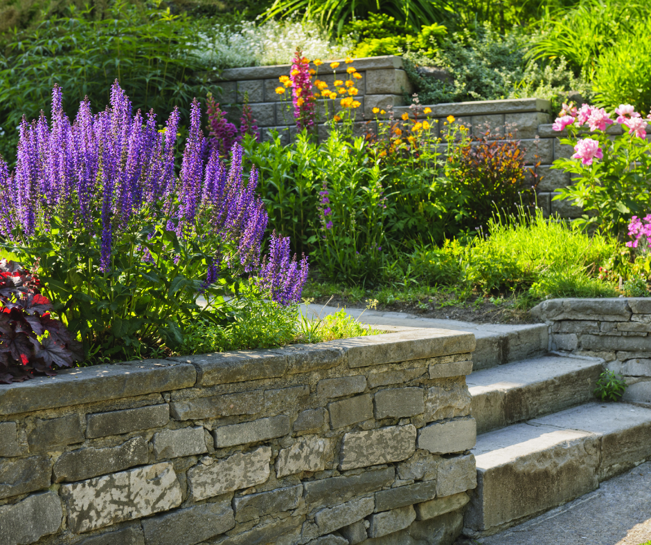 how-to-make-your-garden-summer-ready