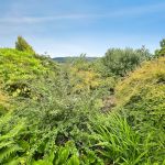 4f1df96d Garden 201.jpg
