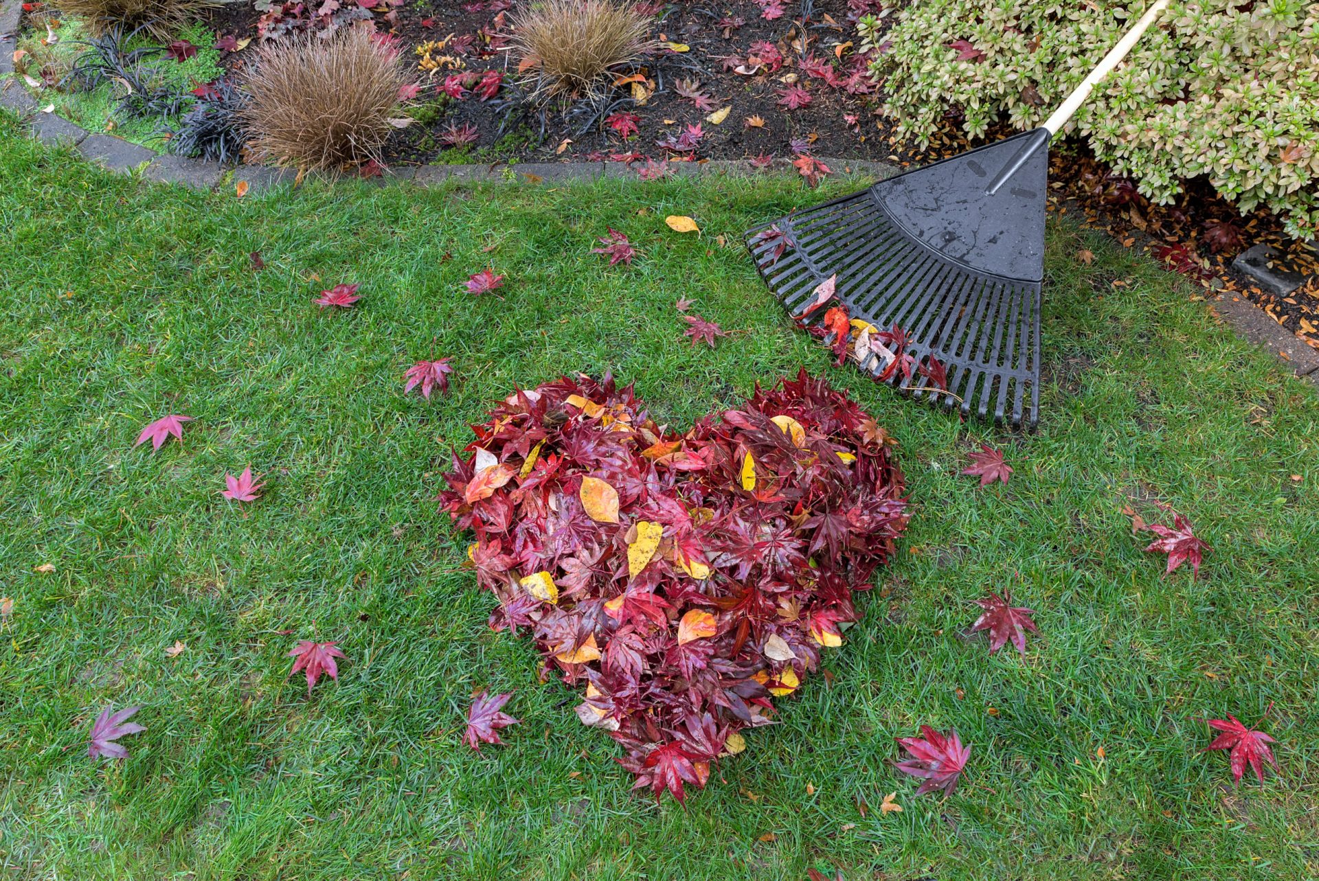 gardening-jobs-to-do-in-autumn-essential-tips-when-selling-your-property